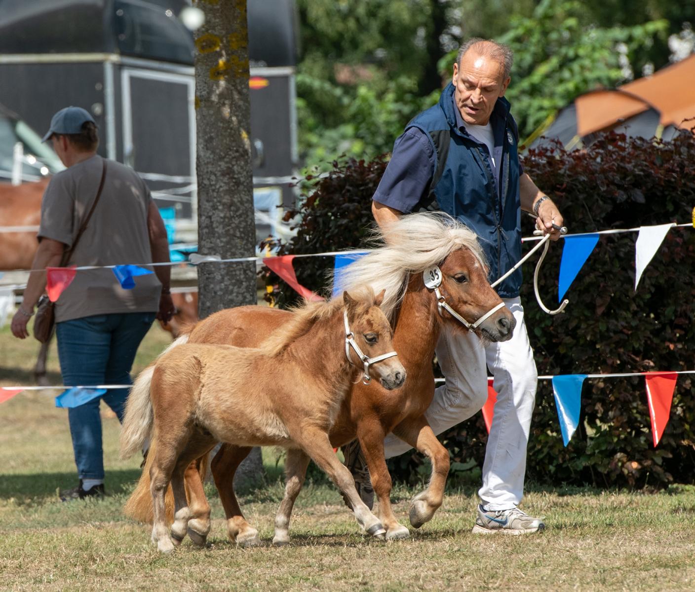 Iron Fox v. Herrenhof 